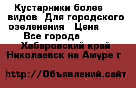 Кустарники более 100 видов. Для городского озеленения › Цена ­ 70 - Все города  »    . Хабаровский край,Николаевск-на-Амуре г.